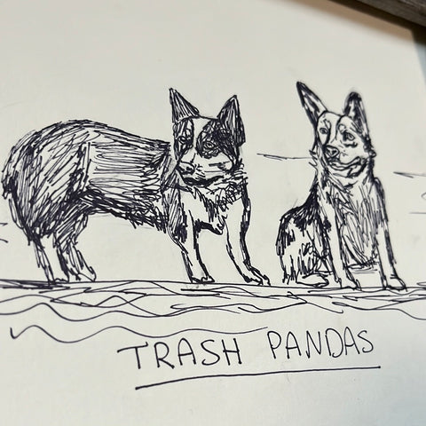 Trash Panda Original Sketchy Sketch